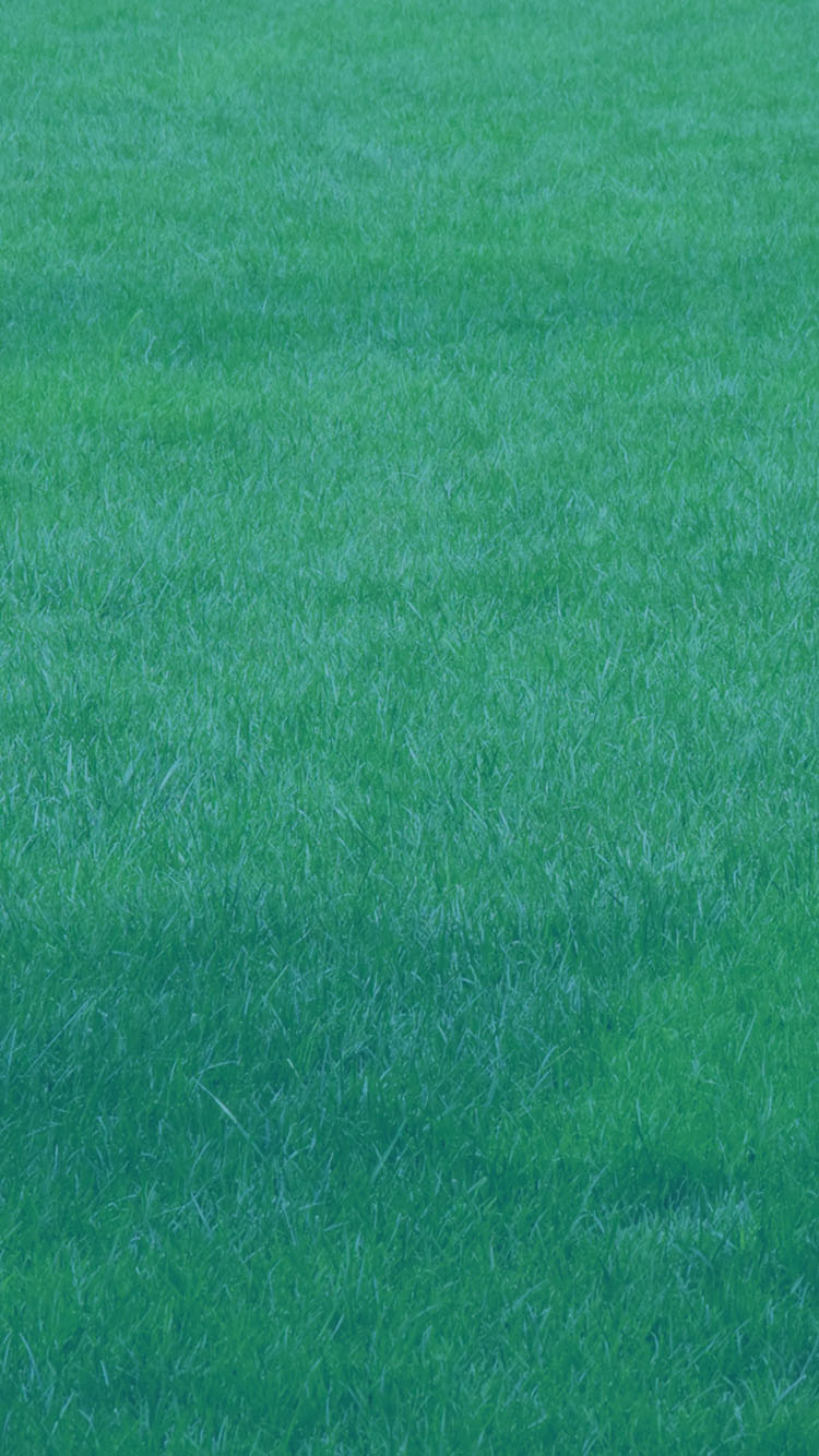 upload/202504151445571.jpg